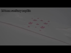 6+6+4 고품질 여성 패드 여성 위생 냅킨 값싼 독일 위생 냅킨